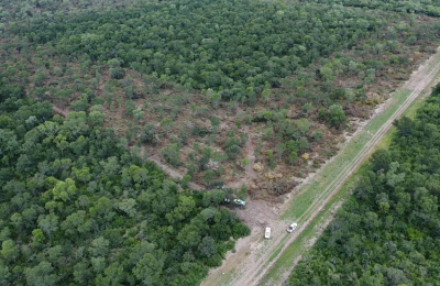 En 2021 Bosques tuvo una recaudación récord de más de $ 132 millones