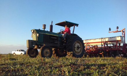 agricultor-COMENTARIO.jpg