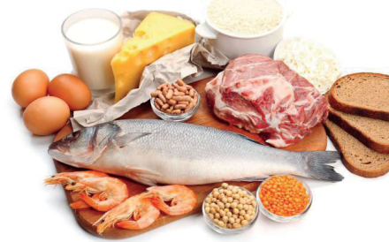 proteina.jpg