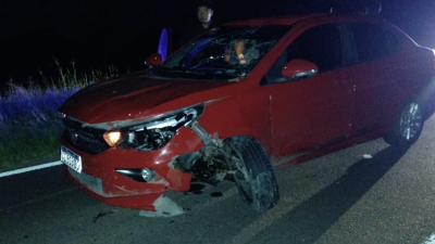 Dos autos colisionaron sobre la ruta 11 por la presencia de un perro