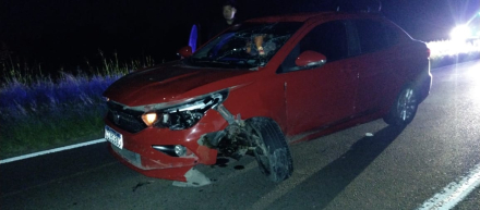 colision ruta 1.jpeg