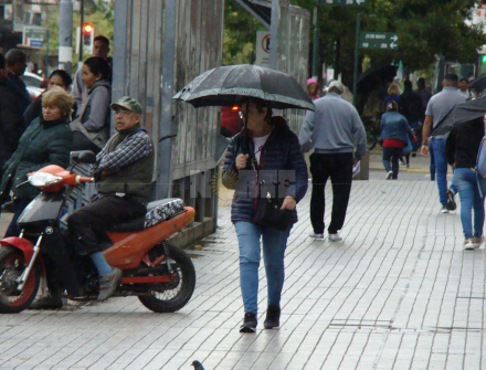 lluvia doña.JPG