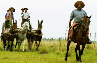 Las 3 estancias para disfrutar en Corrientes