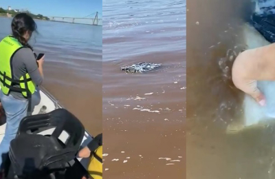 Un pescador se topa en el río Paraná con 258 kilos de marihuana flotando