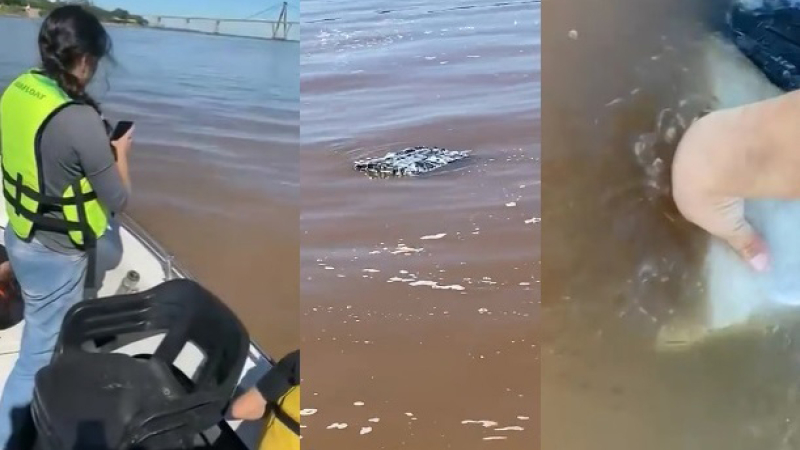 Un pescador se topa en el río Paraná con 258 kilos de marihuana flotando