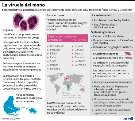 VIRUELA-DEL-MONO2.jpg
