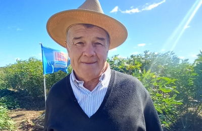 Chacras de historial algodonero que hoy producen alimentos
