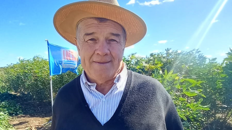 Chacras de historial algodonero que hoy producen alimentos