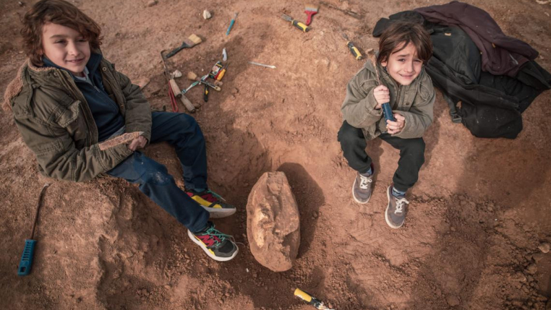 Un niño de 8 años encontró en Santa Clara del Mar un cráneo de un animal prehistórico