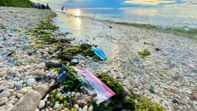 Transformación Azul: acción mundial para el uso seguro y sostenible de los mares y sus recursos