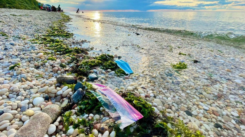 Transformación Azul: acción mundial para el uso seguro y sostenible de los mares y sus recursos