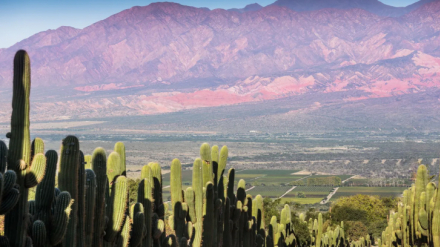 salta1.jpg