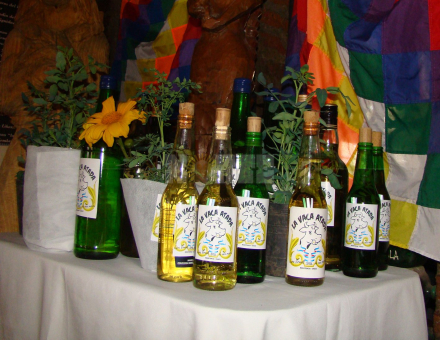 caña con ruda- agosto 1.JPG