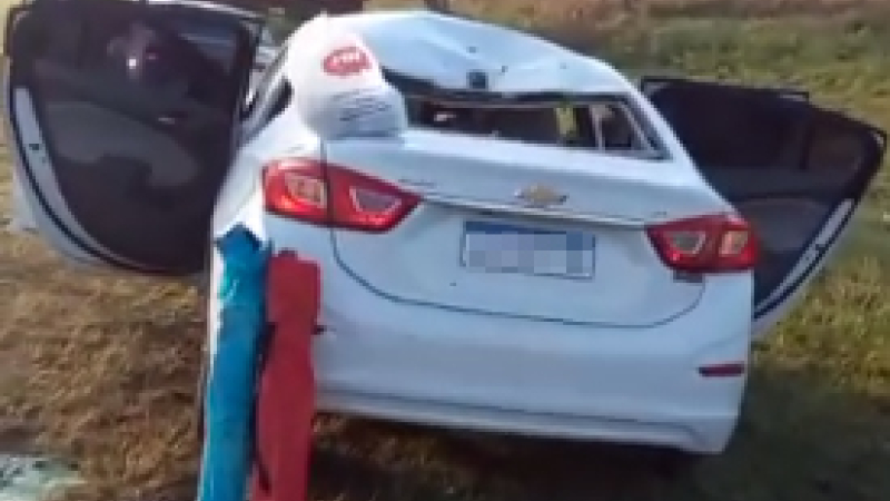 Otra vez los animales sueltos: un caballo en la ruta 5 provoca tremendo accidente
