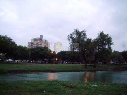 lluvia laguna arg.JPG