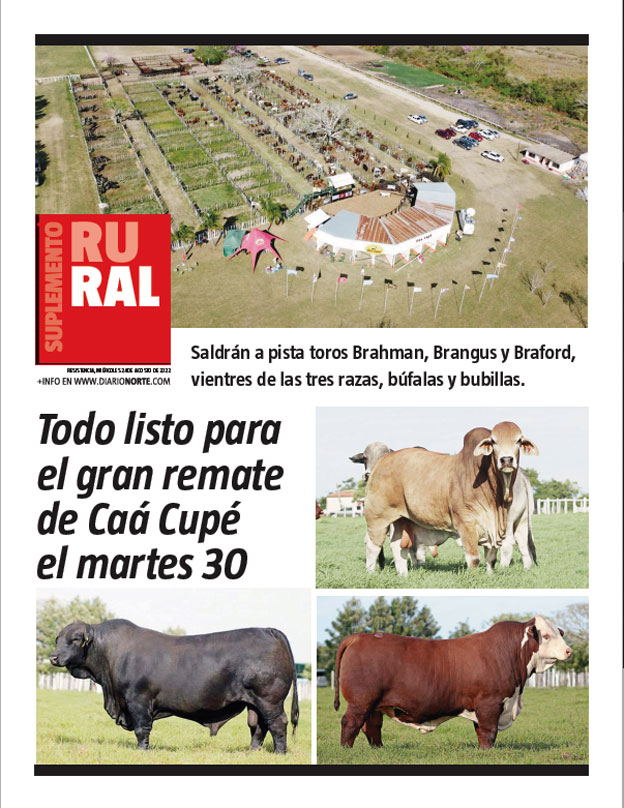 Todo listo para el gran remate de Caá Cupé el martes 30