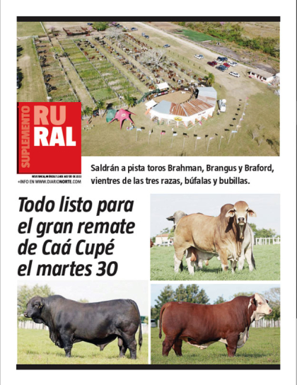 Todo listo para el gran remate de Caá Cupé el martes 30