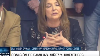 En Diputados, Marisa Graham brindó detalles del informe anual de la gestión de la Defensoría