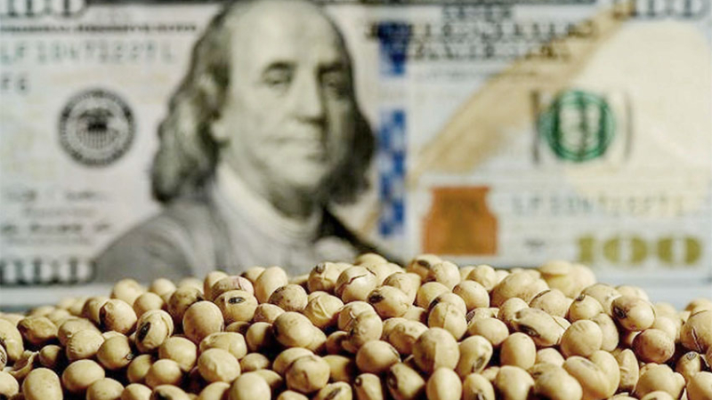 Reservas: exportadores superaron la prometida liquidación de u$s 1000 millones