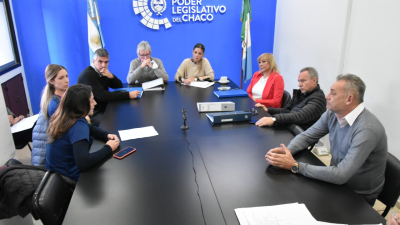 Expectativas de bioquímicos y odontólogos en la sesión legislativa de esta tarde