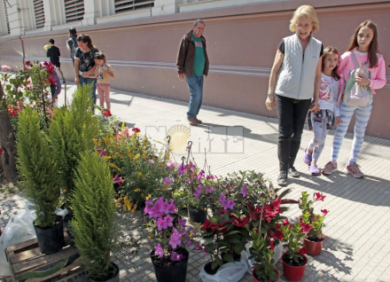 Maria Luisa florista 1.JPG