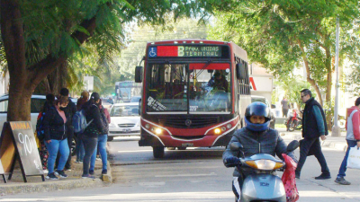 En ocho días las empresas de colectivo dejarán de prestar el servicio urbano