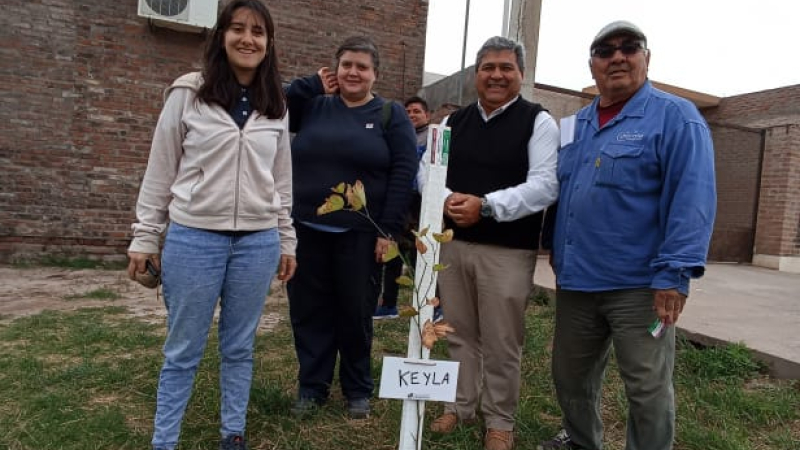 Proyecto público-privado para desarrollar el arbolado urbano en Charata
