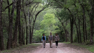La Ruta del Gran Chaco: experiencias únicas en la naturaleza subtropical