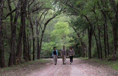 La Ruta del Gran Chaco: experiencias únicas en la naturaleza subtropical