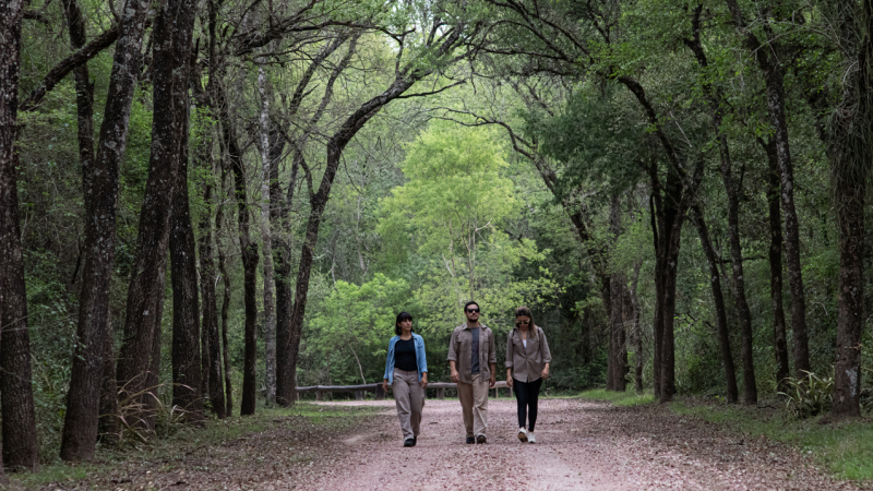 La Ruta del Gran Chaco: experiencias únicas en la naturaleza subtropical
