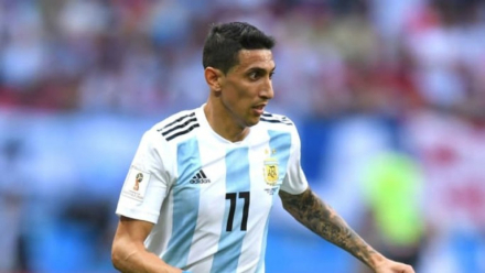 dimaria2.jpg