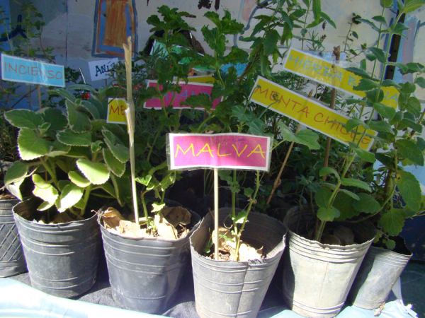 Foto 12
