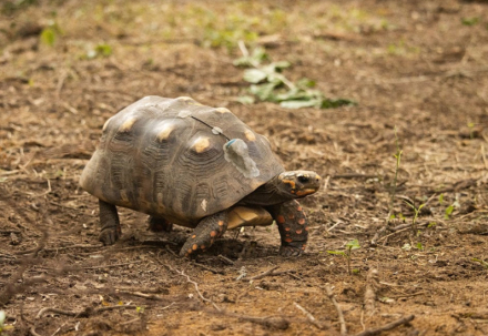 biodiversidad3.jpg