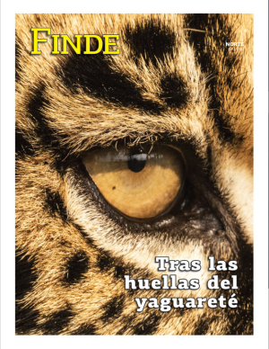Tras las huellas del yaguareté