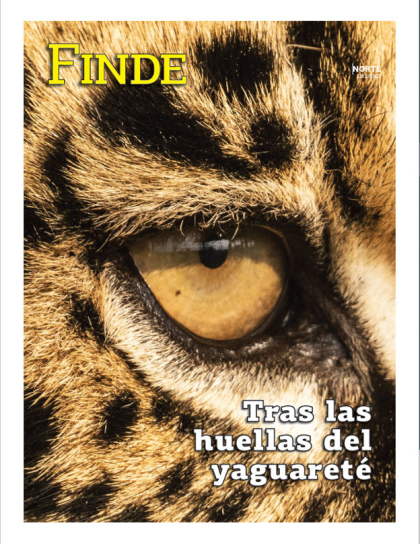 Tras las huellas del yaguareté
