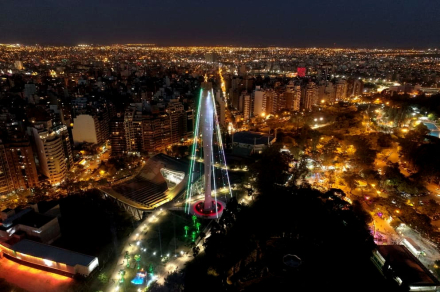 arbol cordoba.jpg