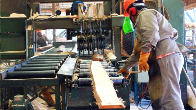 Fuertes trastornos por falta de guías de promoción primaria e industrial