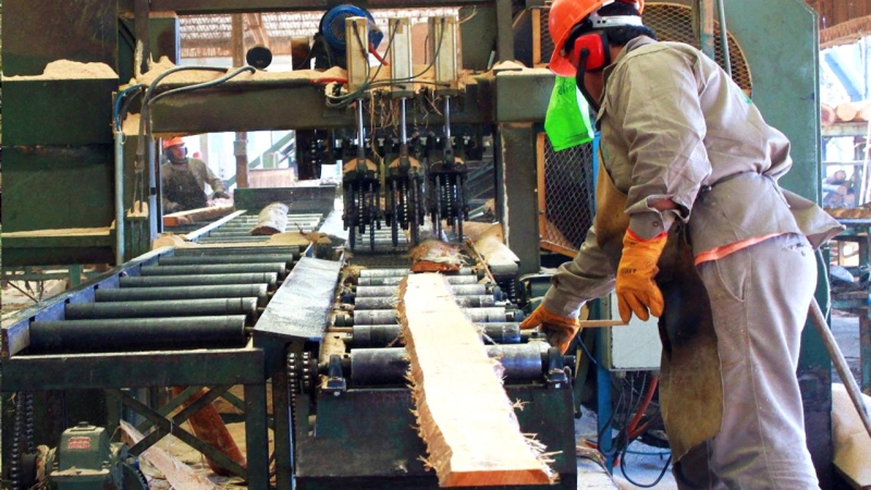 Fuertes trastornos por falta de guías de promoción primaria e industrial