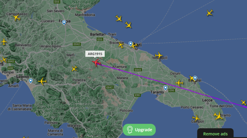 Seguí el vuelo de vuelta de los campeones de Argentina