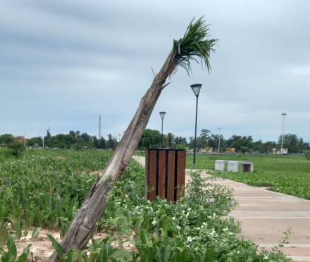 PARQUE-DOS.JPG