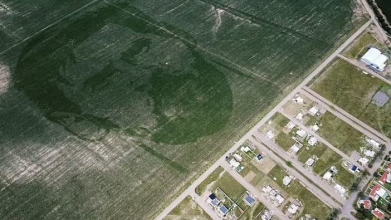 La cara de Lionel Messi crece en un campo de maíz de Córdoba