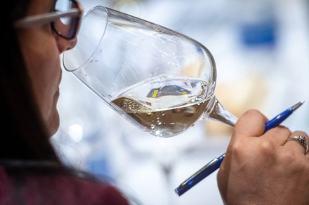 vino2.jpg