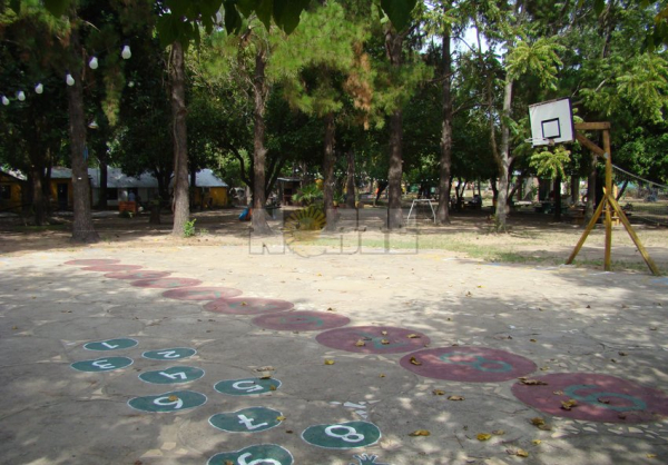 Foto 7