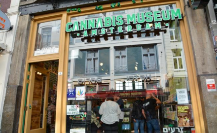 museo_cannabis_amsterdam_10.jpg