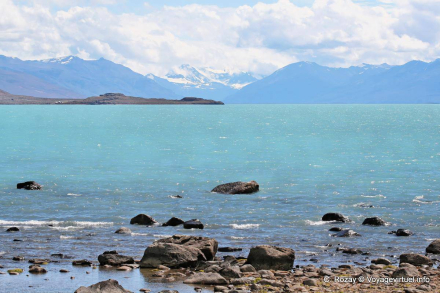 calafate3.jpg