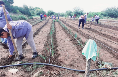 Las huertas comunitarias en Sáenz Peña, resentidas por la sequía