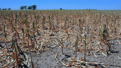 Agricultura considera que el fenómeno de La Niña ya terminó