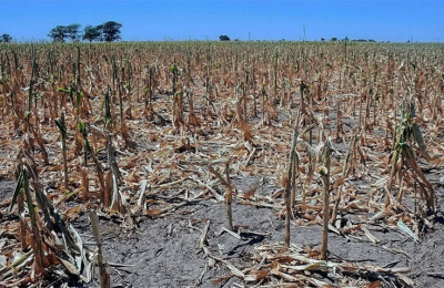 Agricultura considera que el fenómeno de La Niña ya terminó
