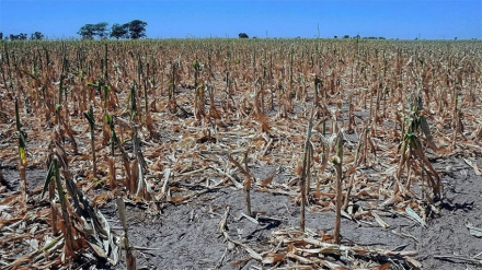 agricultura.jpg