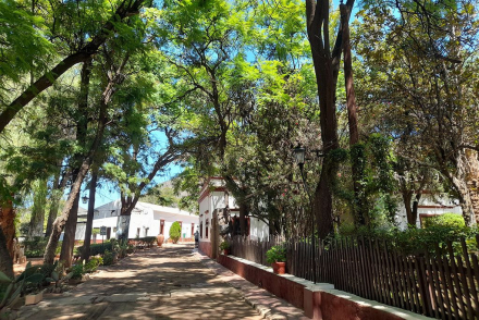 semana santa2.jpg